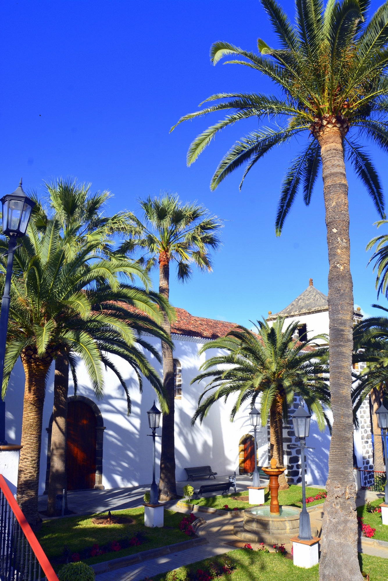 jardin palmeras iglesia